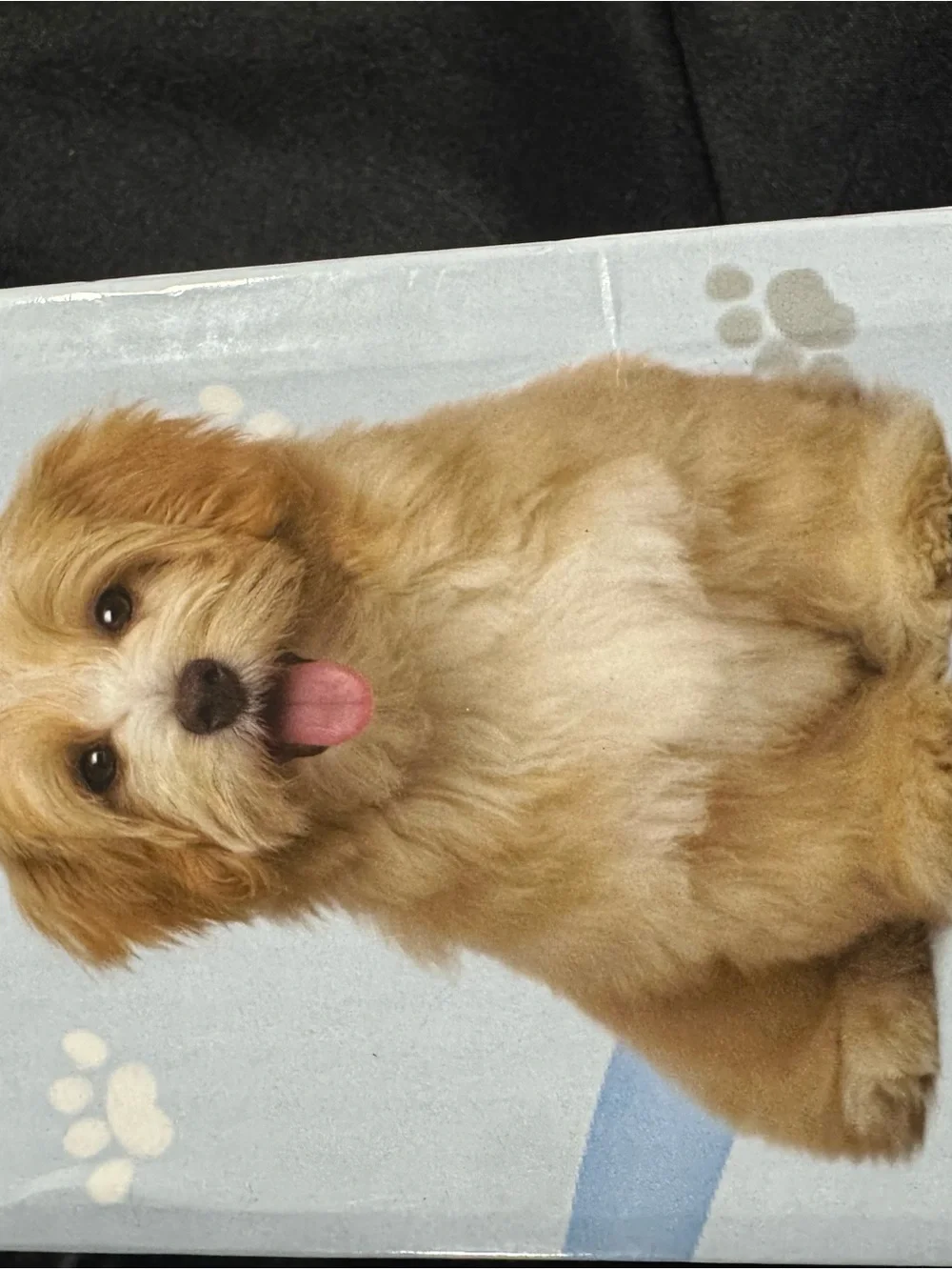 N/A white pet